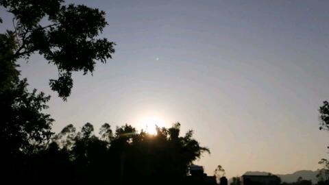 日出水来免费视频国产,国产免费视频的崛起与影响